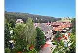Семейный пансионат Zlatibor Сербия